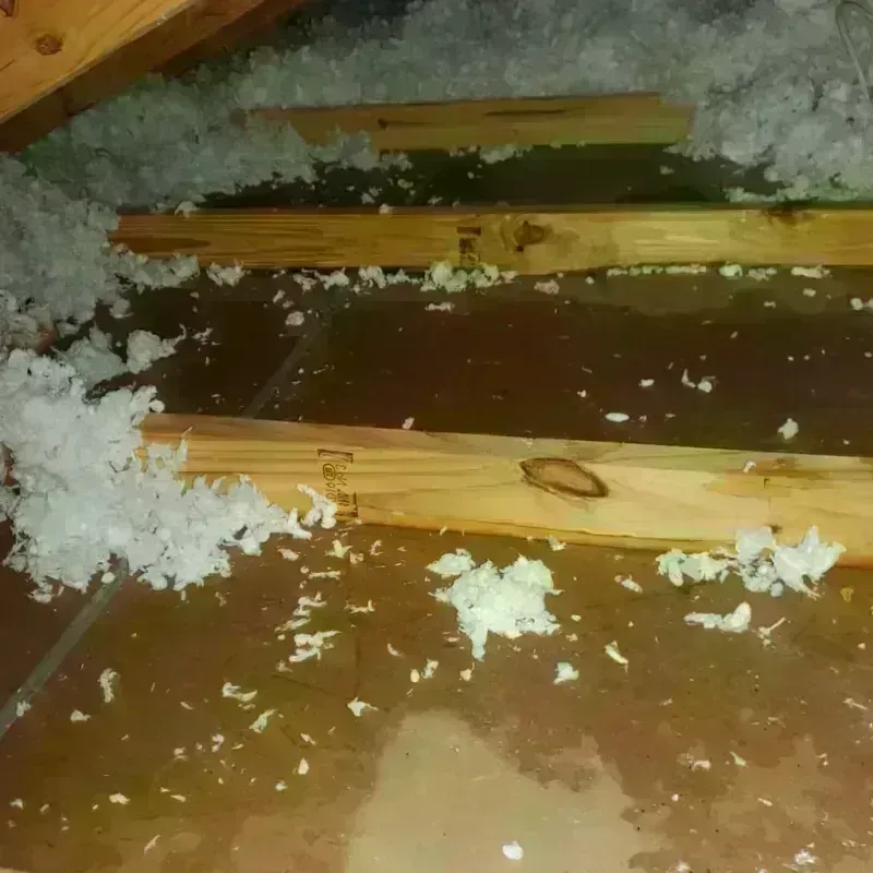 Attic Water Damage in Pulaski, WI