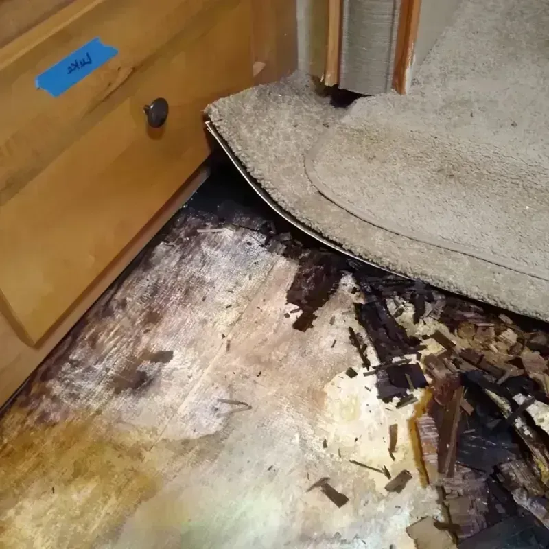 Wood Floor Water Damage in Pulaski, WI